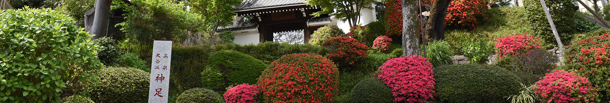 神足寺について